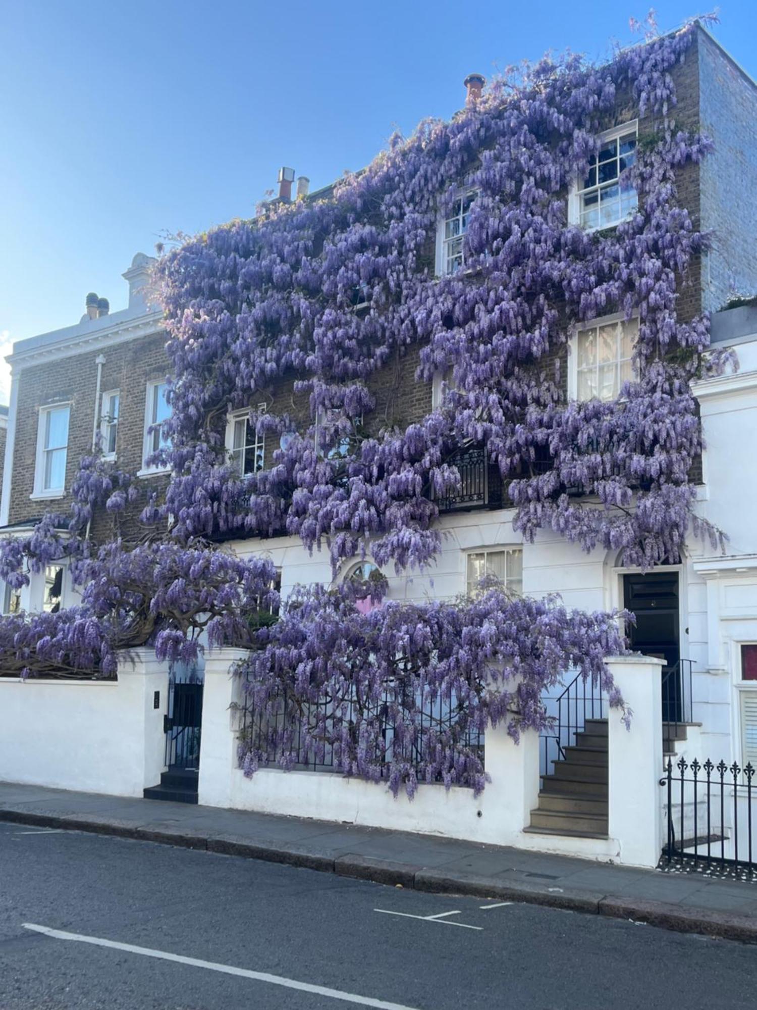 Appartamento Opening Offers - Awesome Very Flat In Famous Notting Hill With A Balcony